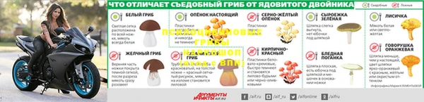 PSILOCYBIN Абинск