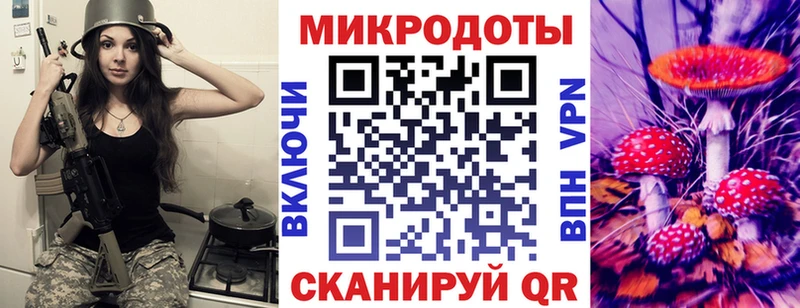 мега вход  Болотное  Псилоцибиновые грибы Psilocybe 
